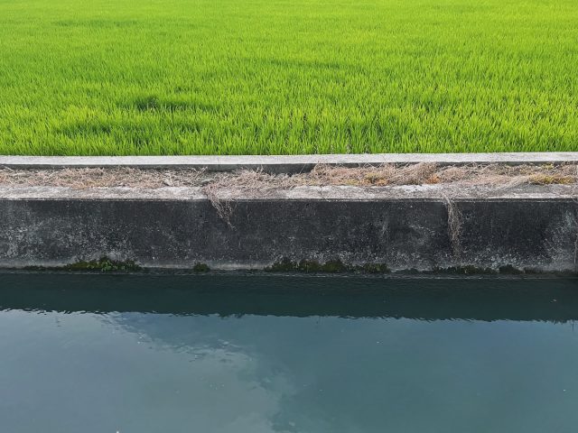 無論你來自哪裡的天邊海角

若不是非要我們不可

我為何非要給你不可？

/

下午來了一個初訪的客人

因為得知提拉米蘇無法外帶並且售完了

深深的嘆了一口氣

我：「下次來可以先跟我預定預約呦⋯」

他生氣的轉身離去前說了句：「我不會再來了！」

-

親愛的

別氣 別氣啊～

下次先預約真的可以解千愁⋯

-

現在的我可以笑著跟大白分享這些事情

是因為我有讓自己好好休息

才能分得清楚「情緒是誰的」

而不是一股腦的就往自己身上放

/

其實很不想先寫這篇😜

但今天有感就記錄一下吧！

/

去年在朋友推薦下

看了一本療癒我許久的繪本

「到烏龜國去」

很推薦給每個要來到池上的旅人

書的封底這樣寫著

「進入慢活的世界，感受生活的美好，
就從生活習慣微小的改變開始⋯⋯

小兔子開心到烏龜國旅行～
沒想到，等個餐點要六個小時，
看一場電影要花上十一個小時，
等一列火車至少一個月的時間，
甚至連回家都得等六個月後⋯⋯」

/

我們的店 

我們在池上開店

有點不太一樣

是從生活裡長出的生存模式

分享著我們的所見所聞所愛

我身心舒適時開店

歡迎大家來到我們的生活裡

一年年你們會看著我們的轉變與成長

從客人變熟客再變朋友

然後期待著

期待每次的相聚

🧡

我們空間 座位不多

希望來到我們家的你們都有舒適的位置

不併桌

不讓座

是公開的默契

一直不想寫長長的公約

目前唯一要求就是「入內請互相尊重」

但

如果你好奇我們店

我就來說說一些我會回答的問題

-想外食？

有問就可以，沒問就不可以

-有低消？

點你吃的完喝的完的

（每一樣都是我用心之作，沒有主角或配角，有的只是當把你喜愛的品項搭在一起時，蹦出的最佳拍檔！）

-自備環保杯有折扣？

愛地球不需要我鼓勵你

-座位有限可以預約

順勢說一下 
從今起5人以上的客人（含5人）
若沒有先來電詢問或預訂恕無法接待
主要是我一人作業
無法快 也不想快
都來池上走走了
那就 別趕嘛～

-甜點有限可以預訂

我不想成為機器人，我想每次吃自己做的東西時
都還是覺得怎麼那麼好吃的感動🥹

我也無法在身心不舒適時做甜點

-每週日公告隔週的營業時間並同步開放訂位

所以沒有預約跟預訂

「客滿 撲空 售完  等待 」一定是日常

這是我們喜歡的生活裡長出的生存模式🌹

謝謝你看到這裡

也歡迎你們的到來

走走池上

🍺

#到烏龜國去 #池上 #走走池上

人生長長短短跟喜歡的人常相聚就好 

這樣就太好了🥹